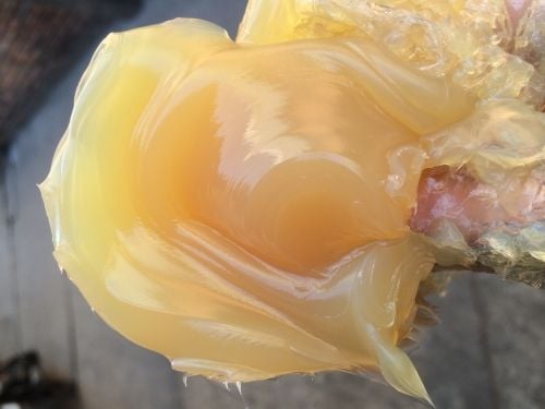 Mỡ chịu nhiệt công nghiệp